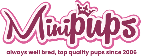 Minipups Logo