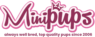 Mini Pups Logo